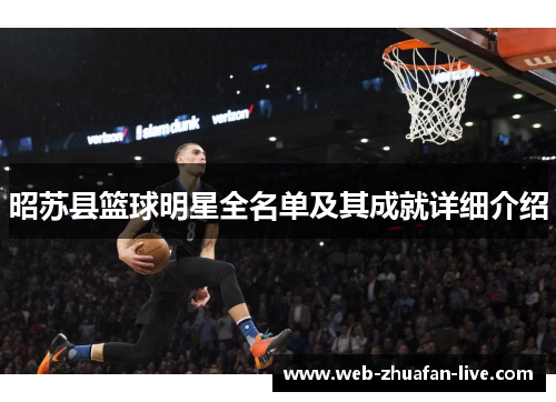 昭苏县篮球明星全名单及其成就详细介绍