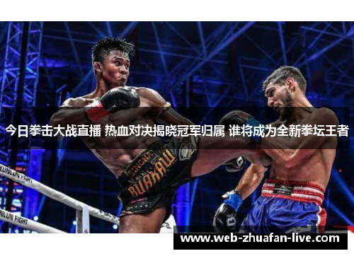 今日拳击大战直播 热血对决揭晓冠军归属 谁将成为全新拳坛王者